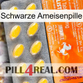 Black Ant Pill new05